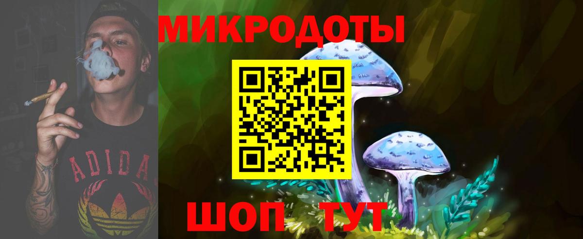 Псилоцибиновые грибы мухоморы Новороссийск